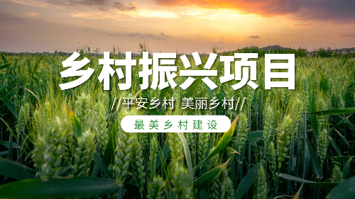 鄉(xiāng)村振興新機(jī)遇：首盛國(guó)際工程咨詢(xún)集團(tuán)賦能農(nóng)村藍(lán)海市場(chǎng)