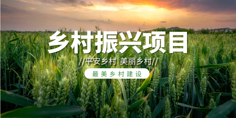 4.8鄉(xiāng)村振興