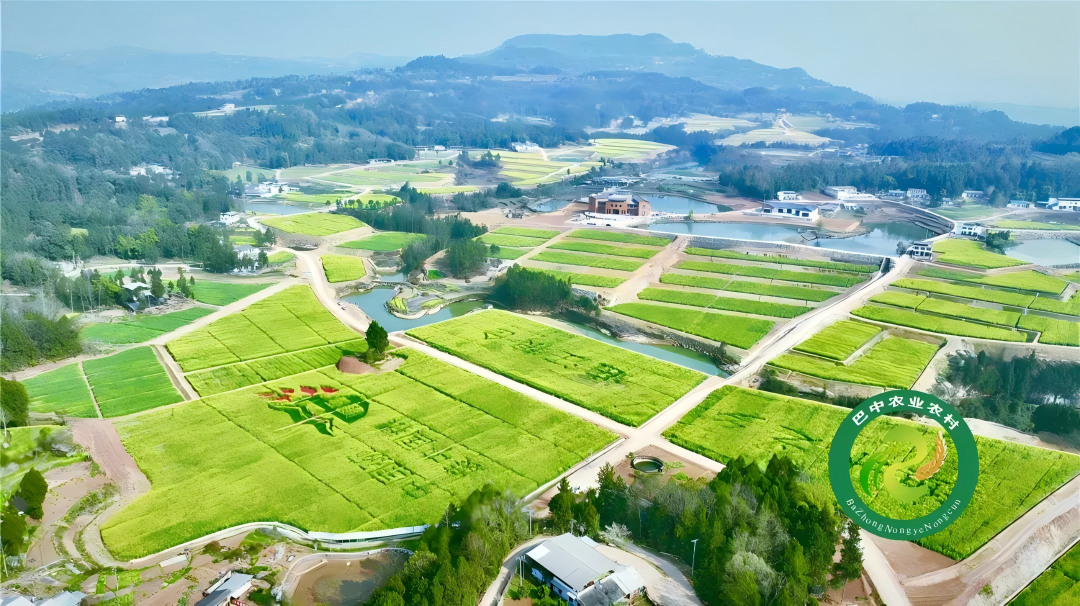 巴中市巴州區(qū)高標準農(nóng)田土地治理項目