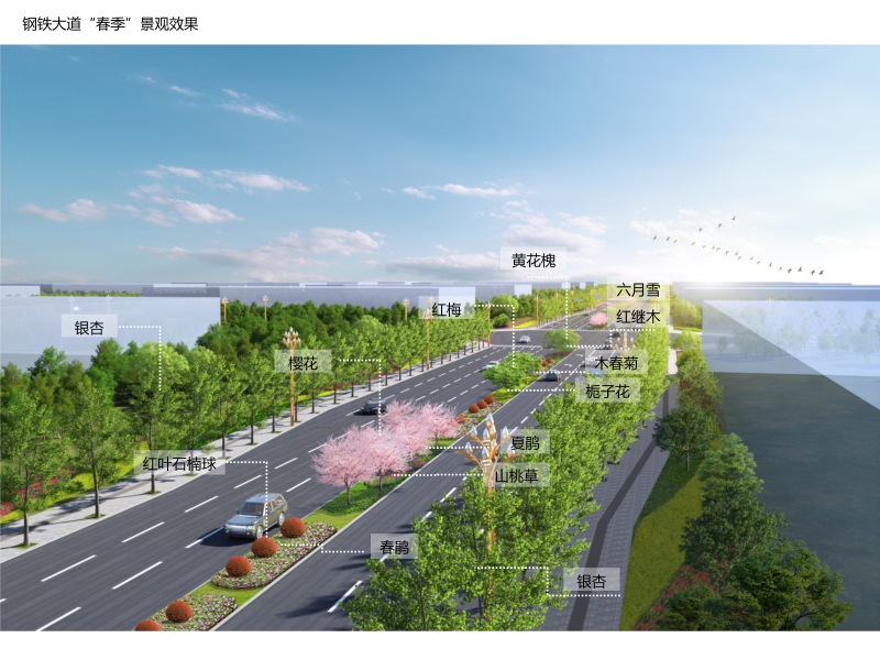 鋼鐵大道、五馬石路、銅鼓堆路道路綠化設(shè)計(jì)0423_01