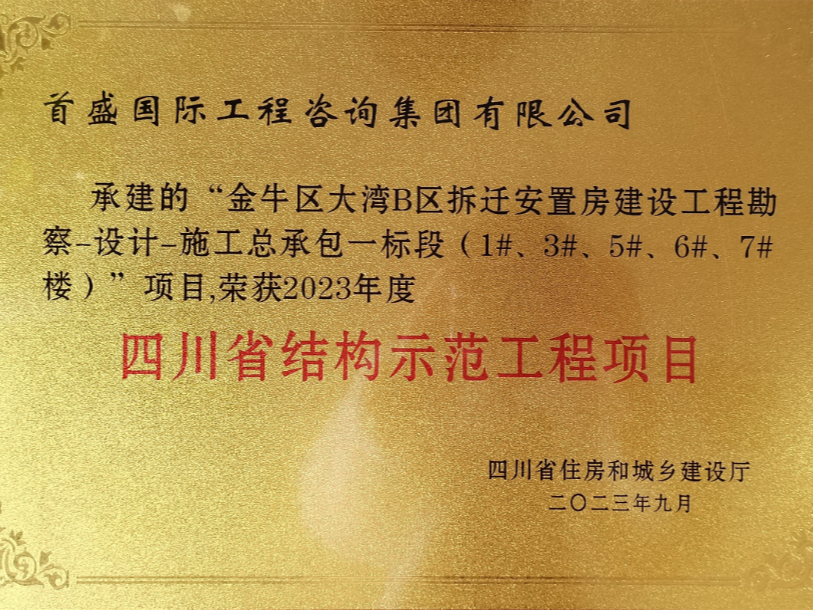 2023年四川省結(jié)構(gòu)示范工程-大灣B區(qū)